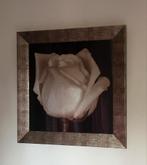 Schilderij, witte roos, 90 x 90 / in Overloon, Antiek en Kunst, Ophalen of Verzenden