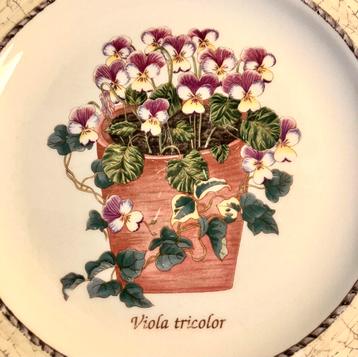 Wedgwood Sarah’s Garden 4 ontbijtbordjes Viola tricolor beschikbaar voor biedingen