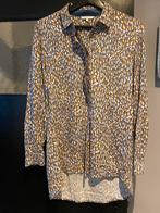 Sandwich blouse maat m, Kleding | Dames, Maat 38/40 (M), Paars, Ophalen of Verzenden, Zo goed als nieuw