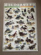 Dinosaurus (Dinosaurs) poster 98x68 cm, Verzamelen, Posters, Rechthoekig Staand, Deurposter of groter, Ophalen of Verzenden, Zo goed als nieuw