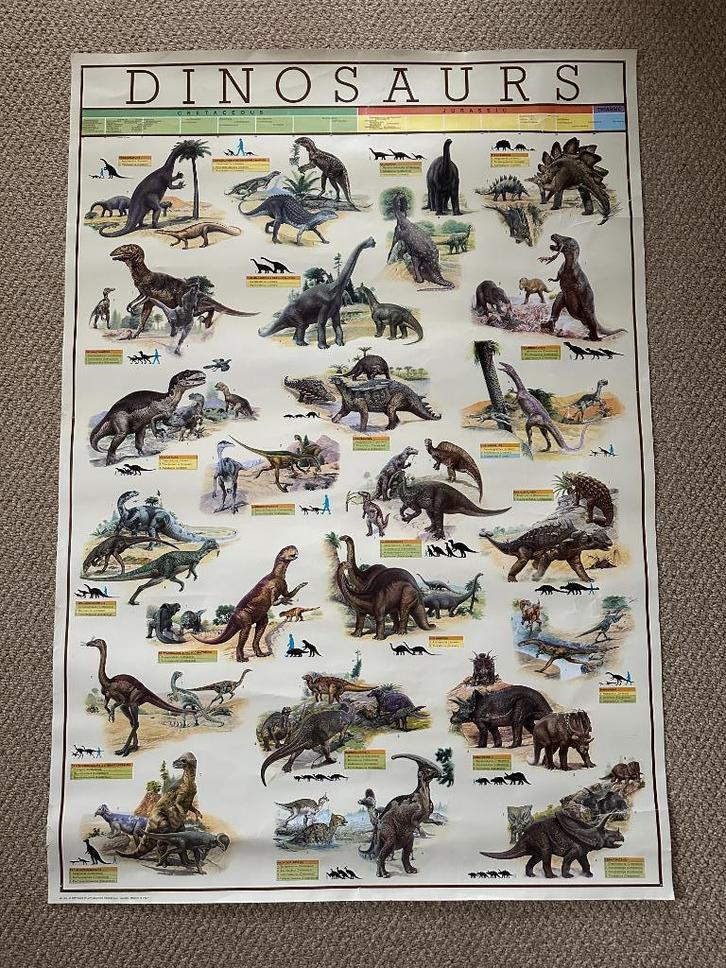 Dinosaurus (Dinosaurs) poster 98x68 cm, Verzamelen, Posters, Zo goed als nieuw, Dier of Natuur, Deurposter of groter, Rechthoekig Staand