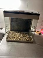 Superfish aquarium 40, Dieren en Toebehoren, Ophalen, Gebruikt, Leeg aquarium