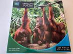BBC Earth orangutan Puzzle 1000 stukjes, Ophalen of Verzenden, 500 t/m 1500 stukjes, Zo goed als nieuw, Legpuzzel