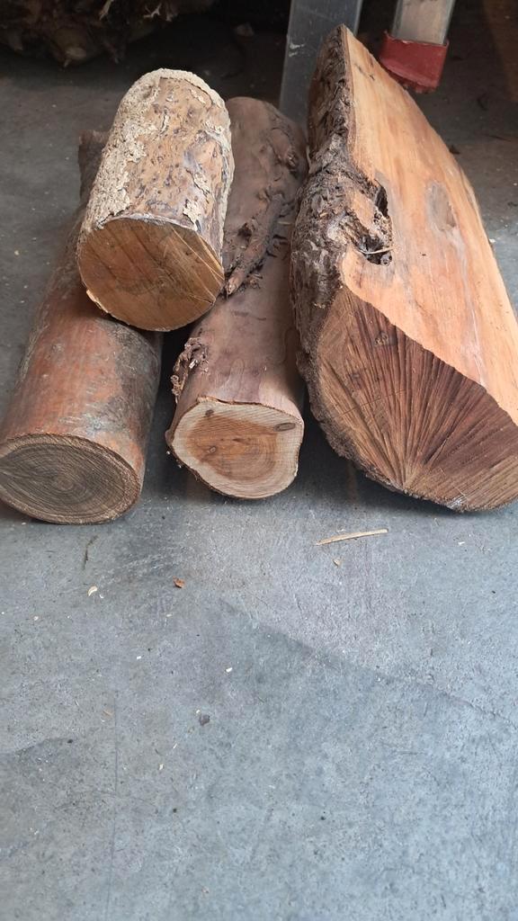 Draaihout stammetjes taxus buxus peer hulst en meer, Doe-het-zelf en Verbouw, Draaibanken, Metaaldraaibank, Ophalen of Verzenden