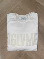 Dante 6 trui maat: 2, Kleding | Dames, Truien en Vesten, Dante 6, Verzenden, Beige, Maat 36 (S)