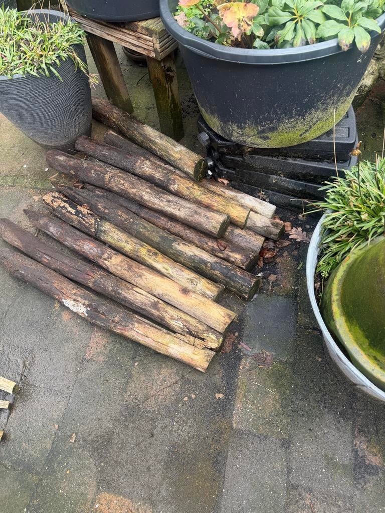 Schapenhekjes van kastanjehout, Tuin en Terras, Ophalen, Gebruikt, Hout, Overige typen