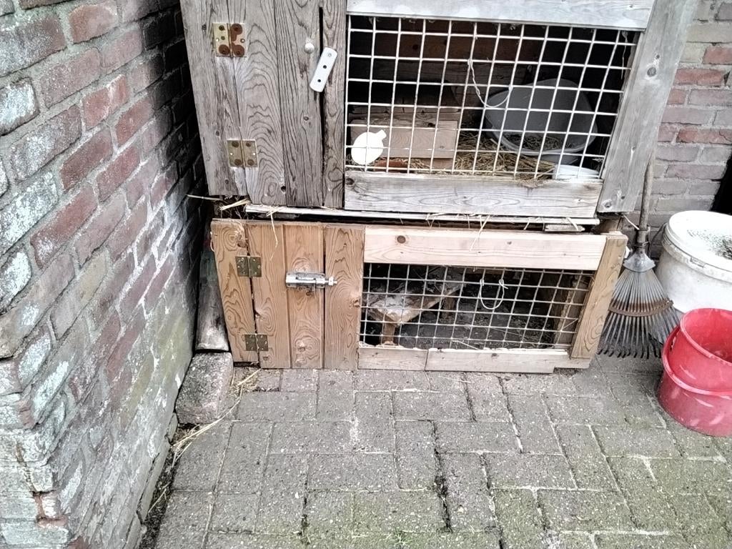 Konijnenhok, Dieren en Toebehoren, Knaagdieren en Konijnen | Hokken en Kooien, Ophalen, Gebruikt, 90 cm of meer, Konijn