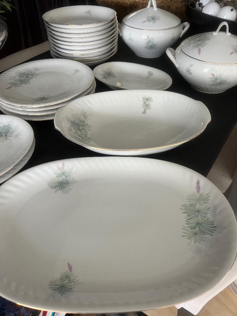 Servies Arzberg Bavaria borden, dekschalen en serveerschalen, Nieuw, Ophalen of Verzenden, Bord(en), Overige stijlen