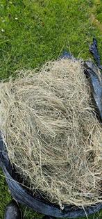 Midibalen hooi in folie, Ophalen, Vee