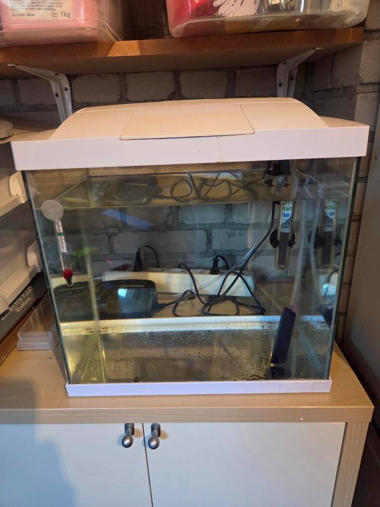 Superfish aquarium, Ophalen, Leeg aquarium
