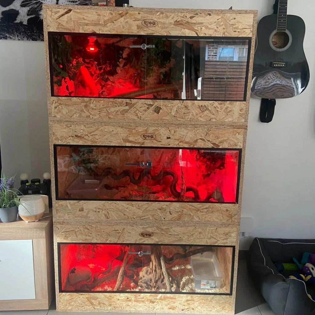 Osb3 terrarium RepHouSZ. 80/40/50 aanbieding 95€, Ophalen, Zo goed als nieuw, Terrarium of Paludarium