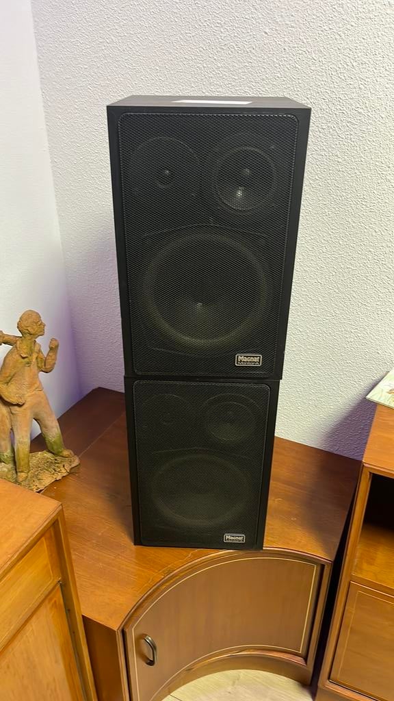 2x Magnat luidspreker, Audio, Tv en Foto, Luidsprekers, Ophalen of Verzenden, Zo goed als nieuw, Front, Rear of Stereo speakers