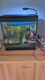 Aquarium, Dieren en Toebehoren, Ophalen, Zo goed als nieuw, Leeg aquarium