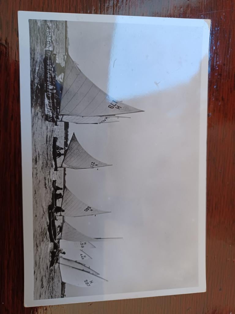 Oude foto zeilwedstrijd Warmond  jaren 60, Ophalen of Verzenden, 1940 tot 1960, Nieuw, Natuur