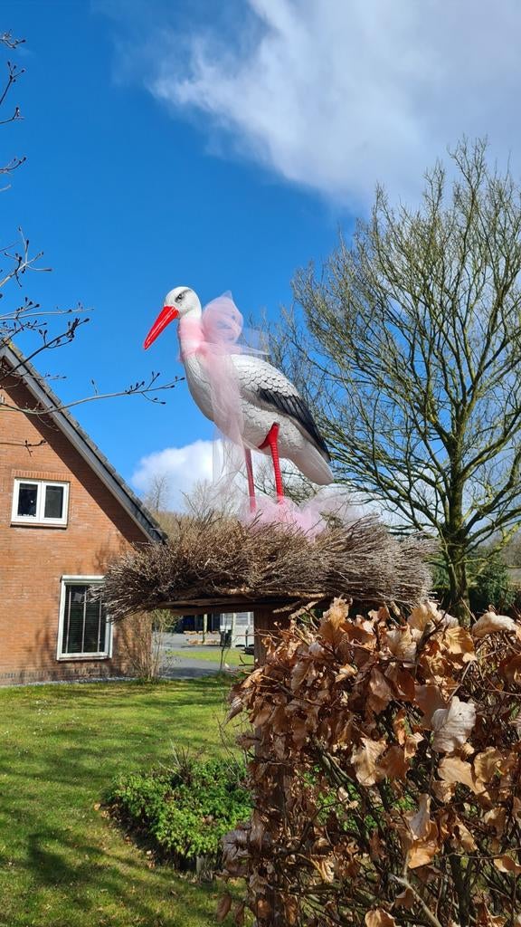 Ooievaar op nest voor geboorteaankondiging, Kinderen en Baby's, Ophalen