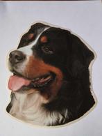 Div honden stickers, Verzamelen, Stickers, Ophalen, Nieuw, Dier en Natuur