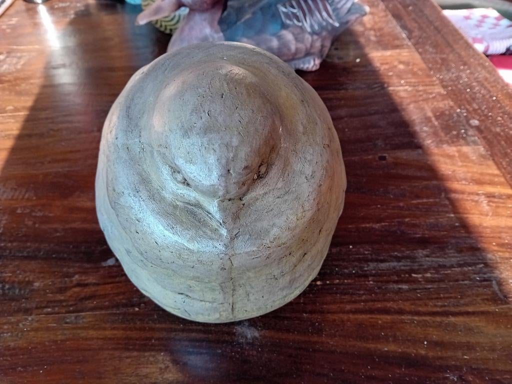 Duif en Eenden kunst, Antiek en Kunst, Ophalen