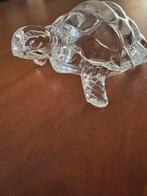 Kristallen schildpad, Ophalen