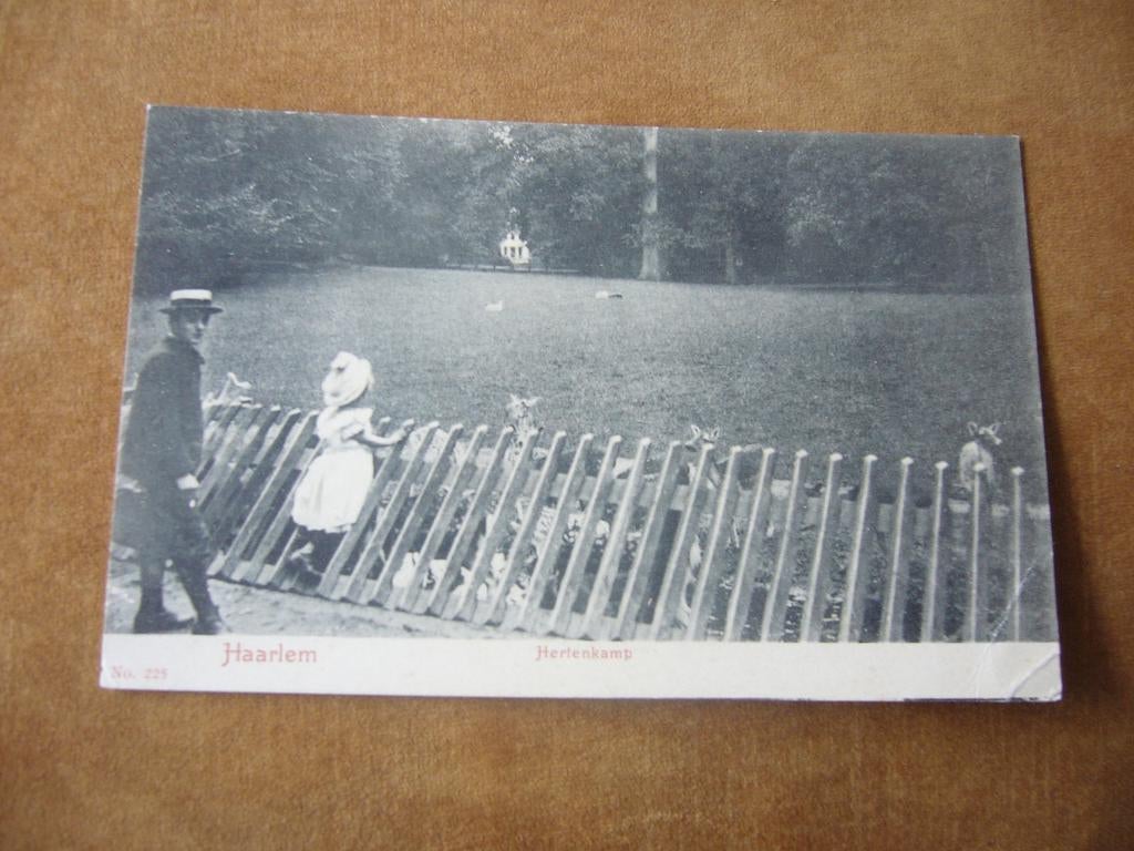 HAARLEM  =  HERTENKAMP  BRIEFKAART, Ophalen of Verzenden, Voor 1920, Ongelopen, Noord-Holland