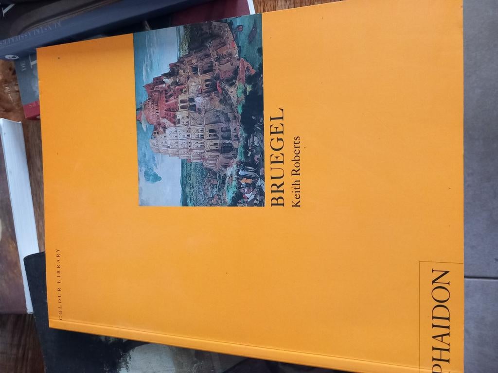 Bruegel boek, Ophalen, Zo goed als nieuw, Overige onderwerpen