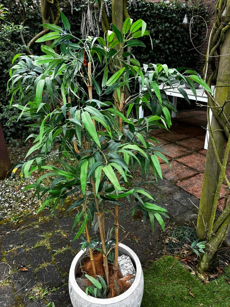 Kunstplant bamboe, Binnen, Groen, Kunstplant, Ophalen of Verzenden