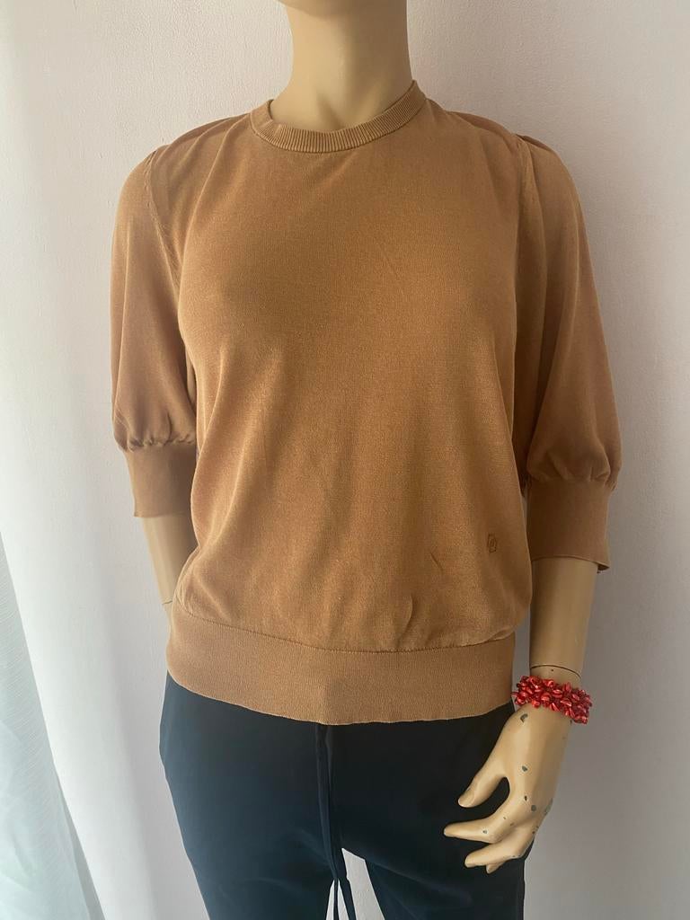 Dante 6 top bruin maat L, Kleding | Dames, Bruin, Maat 42/44 (L), Ophalen of Verzenden, Zo goed als nieuw