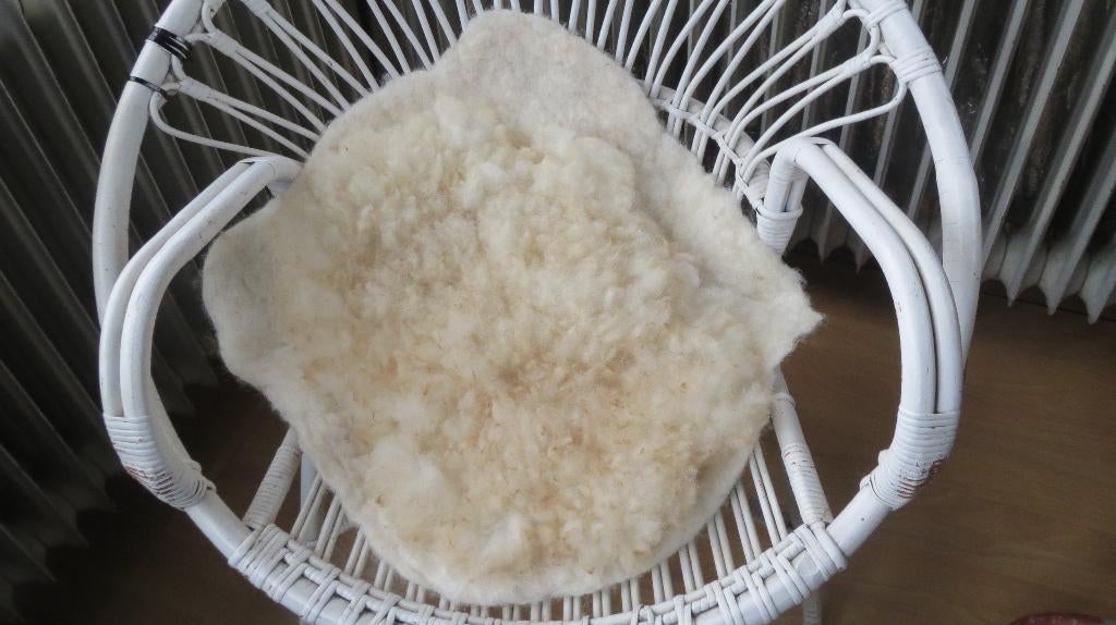 Poll Dorset, gevilte wol, stoelkussen, vilt vacht, 52x52cm, Verzenden, Nieuw, Gebruiksvoorwerp, Wolvilt