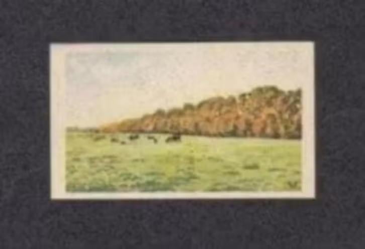 Albumplaatje Hesselinkslaan Westerbroek Zuid-Groningen (42), Ophalen of Verzenden, Zo goed als nieuw