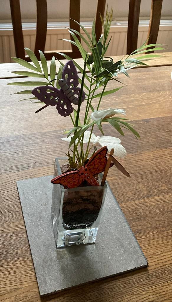 Goudpalmpje goud palm palmpje goudpalm vlinderboompje, Huis en Inrichting, Palm, Minder dan 100 cm, Groene kamerplant, Halfschaduw