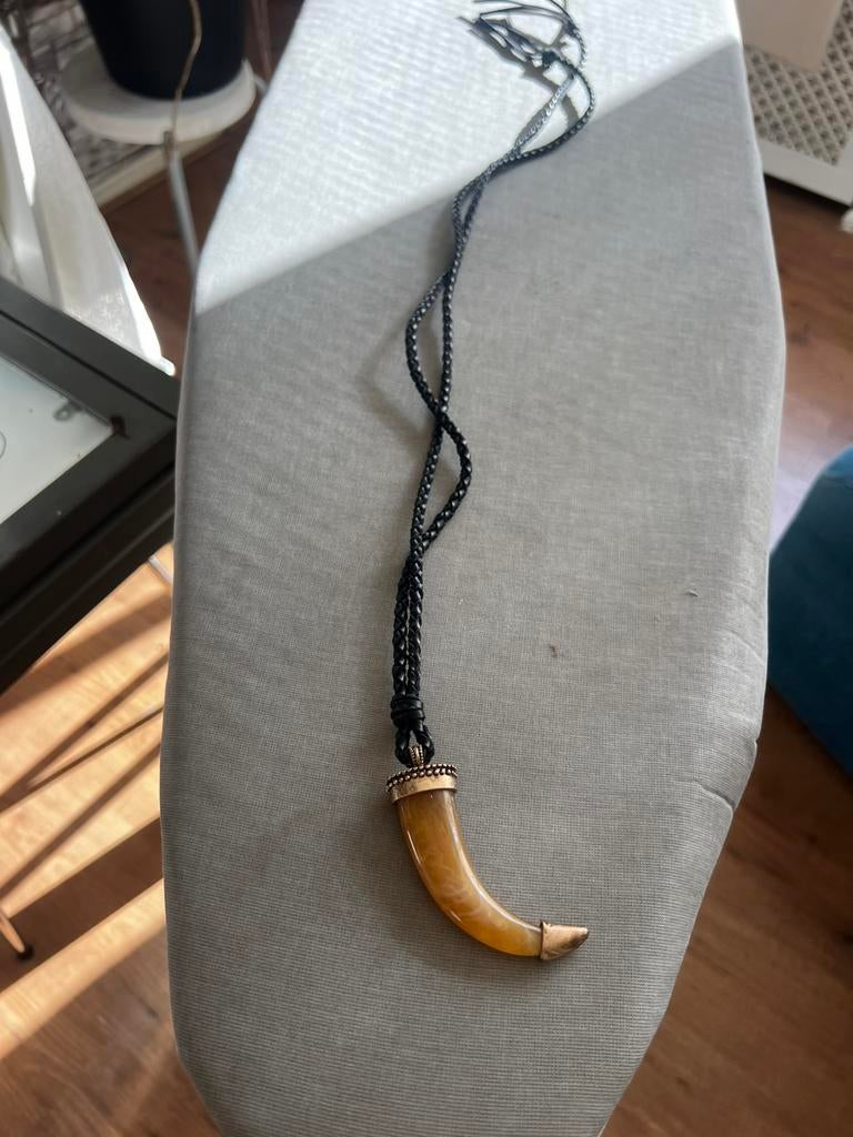 Hanger met tand, Sieraden, Tassen en Uiterlijk, Kettingen, Ophalen of Verzenden, Zo goed als nieuw, Overige materialen