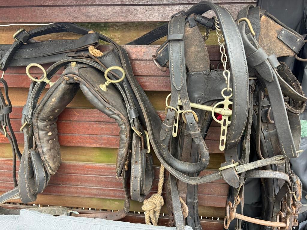 Antiek paardentuig, Dieren en Toebehoren, Paarden en Pony's | Hoofdstellen en Tuigage, Ophalen of Verzenden, Zo goed als nieuw