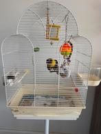 Verkopen agapornis, Meerdere dieren