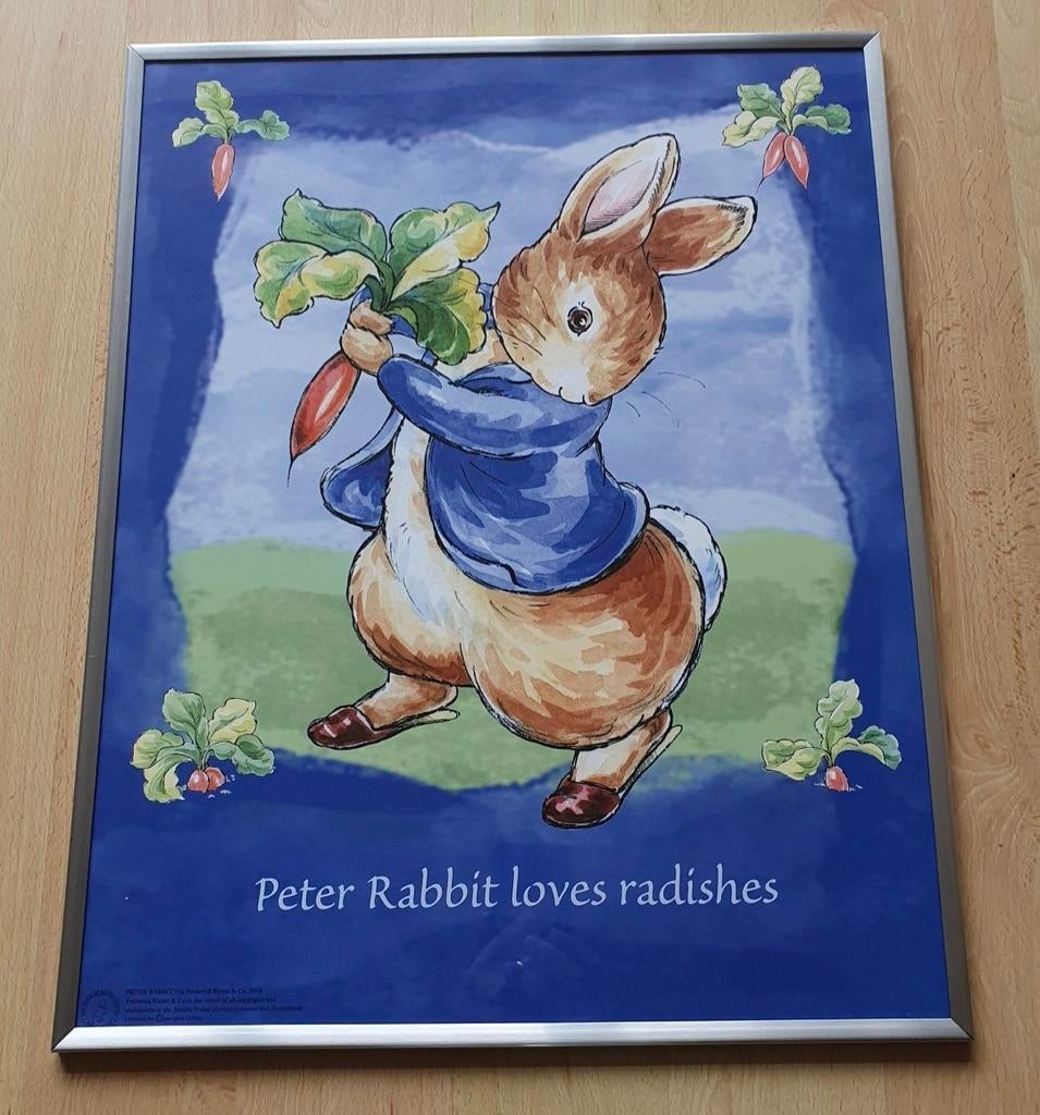 Peter Rabbit poster in lijst, Huis en Inrichting, Ophalen, Zo goed als nieuw