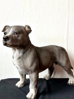 Groot beeld Staffordshire Bull terriēr, Ophalen of Verzenden, Nieuw, Dier