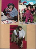 3 stuks aap op ansichtkaart, Verzenden, 1960 tot 1980, Overige soorten