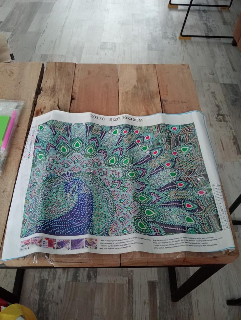 Diamond Painting pauw, Hobby en Vrije tijd, Knutselen, Ophalen of Verzenden, Nieuw, Knutselwerk