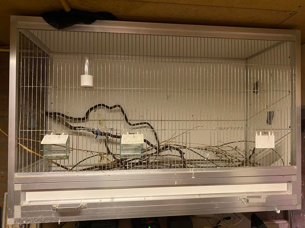 Aluminium vogelkooi, Dieren en Toebehoren, Vogels | Hokken en Kooien, Ophalen, Zo goed als nieuw, Aluminium, Broedkooi of Kweekkooi