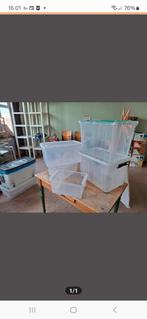 Plastic opbergbakken - diverse maten, Ophalen, Gebruikt, 40 tot 60 cm, 50 tot 75 cm