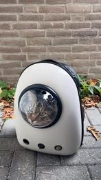 Kat of honden tas te koop, Dieren en Toebehoren, Ophalen of Verzenden, Zo goed als nieuw