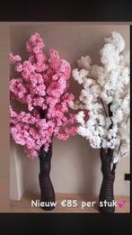 Actie 2x bloesems bloesembomen €150, Ophalen of Verzenden, Nieuw, Binnen