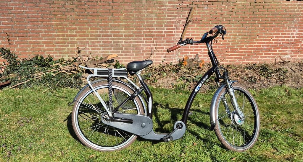 Lin bike elektrische fiets met lage instap, Ophalen of Verzenden, Overige merken