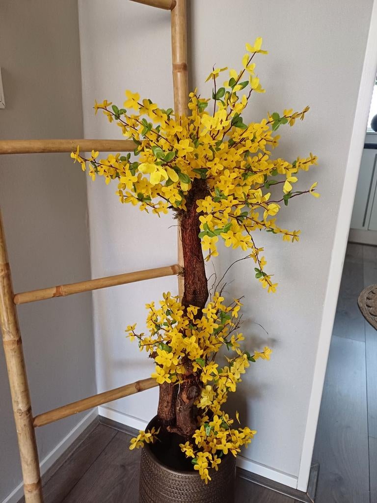 Kunst Forsythia intermedia ‘Spectabilis’ - 100 cm, Ophalen of Verzenden, Nieuw