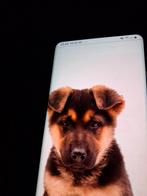 GEZOCHT DUITSERHERDER PUP., Dieren en Toebehoren, 8 tot 15 weken, Teef, Parvo, Eén hond