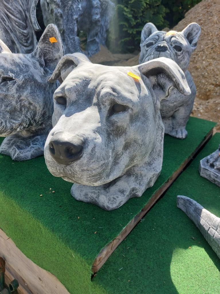 Hondenkoppen, verschillende soorten, Ophalen, Nieuw, Beton, Dierenbeeld