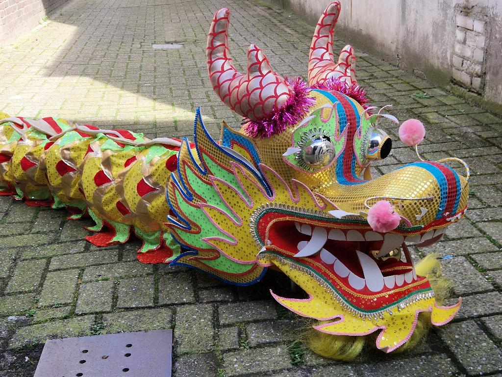 Draak voor feest, Ophalen of Verzenden, Gebruikt, Carnaval