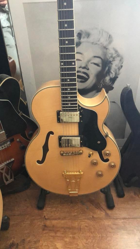 Elektrische gitaar hollow body, Ophalen of Verzenden, Zo goed als nieuw