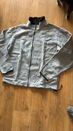 Veste Timberland, Ophalen of Verzenden, Gedragen, Maat 56/58 (XL), Grijs