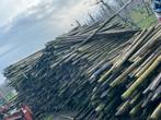 Houten palen uit boomgaard - Ideaal voor tuin/landbouw, Tuin en Terras, Ophalen, Gebruikt, 180 tot 250 cm, Palen