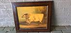 Schilderij van koe 65x55, Antiek en Kunst, Kunst | Schilderijen | Klassiek, Ophalen