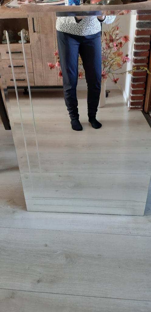 Spiegel, Huis en Inrichting, Ophalen, Rechthoekig, Minder dan 50 cm, Minder dan 100 cm